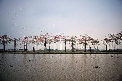 《黎明杀机：龙与地下城》联动上线 新地图杀手幸存者登场